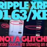 Ripple XRP: The Spike To $91.63/XRP On Kraken Was Not A Glitch! Thin Order Book Dynamics On Price