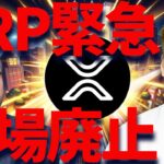 【XRP緊急】リップル上場廃止と噂は真実か？