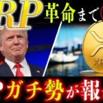 🔥XRP(リップル)覚醒の瞬間見逃すな🔥リップルにとって“最大の追い風”がいつ来るか知っていますか？