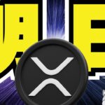 【緊急】XRP ETF最短明日！1000ドル予想も／しかし本日下落？リップル・仮想通貨に何が？／ビットコイン上昇に必要なのは○○