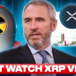 XRP SWELL EMERGENCY! WATCH NOW! (RIPPLE CEO DROPS A BOMBSHELL)