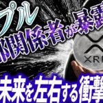 【必見】リップルの内部関係者がXRPの真実を語る。#リップル #xrp #暗号通貨