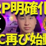【XRP】リップル再び400円に挑戦か？SECが明確化宣言！？
