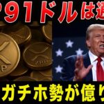 XRP(リップル）が取引所から消失し91ドルになる根拠