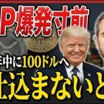 【XRPが市場から消える？】ETF承認で100ドル到達の裏シナリオを専門家が暴露【リップル 仮想通貨 最新情報】