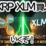 【XRP・XLM】調整終了か？遂にリップルが動き出す！次に目指す「価格暴騰」のタイミングとチャートの予兆を徹底解説【仮想通貨|チャート分析】
