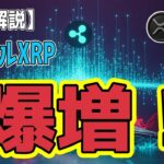 最新【リップルXRP】【衝撃】XRP 新規ウォレット「過去8ヶ月最高のペース」爆増！売り圧停止が示唆する底打ちのサイン