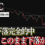 【🎯下落完全的中】まだビットコインは下落するのか解説します