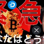 緊急事件でビットコイン大暴落へ？あの仮想通貨たちは爆上げ！あなたはどうする？