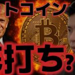 ビットコイン底打ちしたのか！？トランプ大統領が仮想通貨に強気発言！！