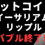 😱ビットコイン・アルトコインバブル終了か！？😱売りのポイントは？🧐
