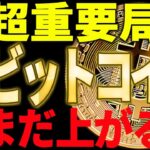 ビットコイン反発開始！まだ上がるのか⁉超重要局面です⚠️