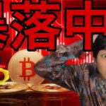 仮想通貨暴落中、どこまで落ちる？日本でビットコイントレジャリー企業は上場廃止へ？