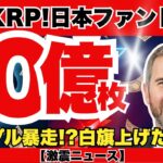 【緊急】日本に10億XRP投入確定！リップル社と日韓が水面下で進める「2026年計画」の全貌…FRB規制撤廃とリンクする衝撃のシナリオとは？『XRPリップル最新ニュース・仮想通貨最新情報💛』