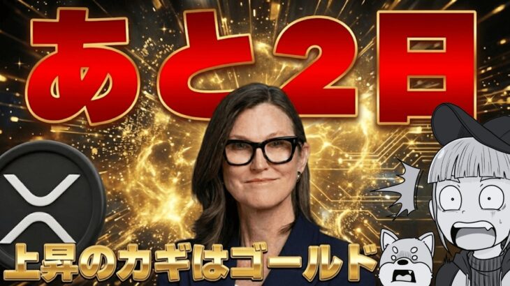 【12/10利下げか】ビットコイン上昇予測！金が暴落？／XRPゲームチェンジ／リップルの計画とは（Bitcoin ビットコイン ETH SOL イーサリアム ソラナ 最新情報 取引所 おすすめ 税金）