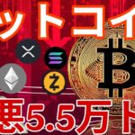 ビットコイン2026年最悪5.5万ドル(800万円)、他の仮想通貨もっと悲惨に！