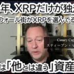 【2026年XRP独走か】ビットコイン失速でもリップルが爆騰する理由｜カナリー・キャピタルCEOが語る「金融のレール」の正体　　#リップル