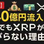 【緊急】640億円流入！それでもXRPが上がらない理由 #XRP #リップル #XRPニュース #暗号資産 #仮想通貨 #Ripple#ETF #資金流入 #クリプト #CrypteethCafe