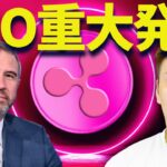 リップルまた下落してるやんけ【怒】CEOが重大な発言！
