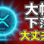 【速報】ETF撤回でリップルに何が？XRP価格への影響を徹底解説　仮想通貨 最新ニュース
