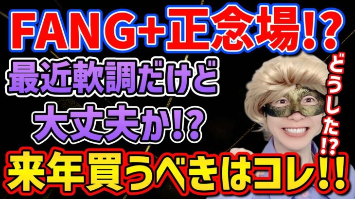 【FANG+ピンチ!?】最近調子悪いけど大丈夫!?来年の新NISAで買うべきはコレだ!!【メガ10,NASDAQ,S&P500,米国株,ナスダック100,セミリタイア,FIRE】