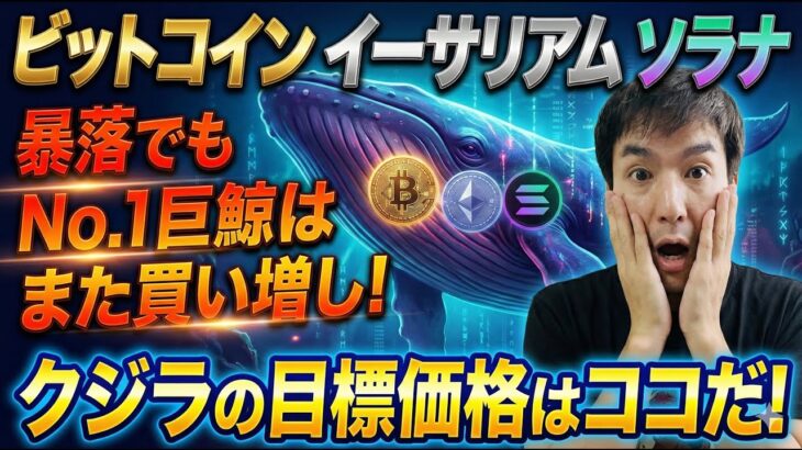【緊急速報】暴落でもNo.1巨鯨がビットコイン・イーサリアム・ソラナを底値大量買い増し！クジラのターゲット価格はココだ！