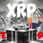 Ripple XRP CHRISTMAS PRESENT CONFIRMED BY DONALD TRUMP MR POOL KNEW XRPL SOMETHING IS HAPPENING!