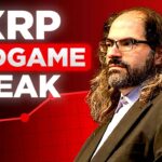 Ripple XRP News – Ripple CTO Just Slipped—And Accidentally Revealed XRP’s Endgame!