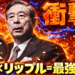 【来たっ！SBI×リップルが機関投資家を狙う】XRPで利回りがもらえる！特大ニュースを見逃すな！