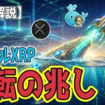 最新【リップルXRP】【期待】我慢の限界か!?  反転の兆し！