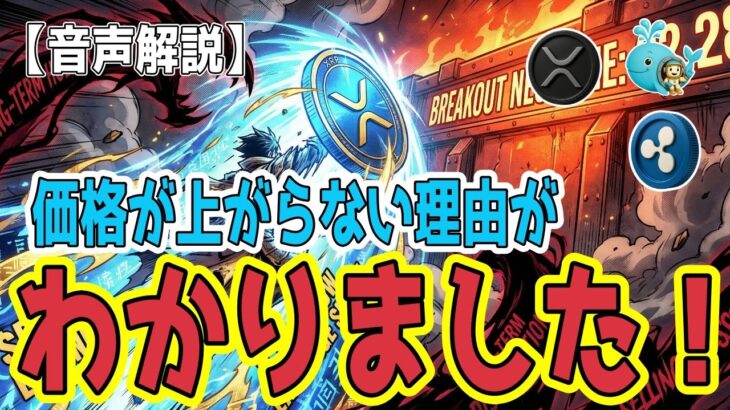 最新【リップルXRP】【分析】価格が上がらない理由がわかりました！
