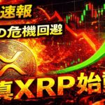 ※リップル速報※XRPの未来に不安を抱いてる方こそ見るべき動画