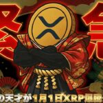 【リップル元旦までに●倍】超天才がXRP大予想！仮想通貨に最後の花火が打ち上るか