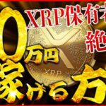 【リップル公式発表】XRP 保有者だけ50万円を稼げる手法が公開されました。#xrp #doge #ripple #shib #仮想通貨 #btc #ethereum