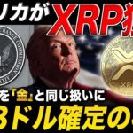 【米国がXRP独占】ビットコインを超え「世界の金」へ🔥 738ドル確定の裏シナリオとは【リップル 最新情報】