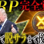 🔥XRP(リップル)革命マジで来る🔥ナスダック社長が衝撃発言❗️これはリップルが◯月に高騰します….