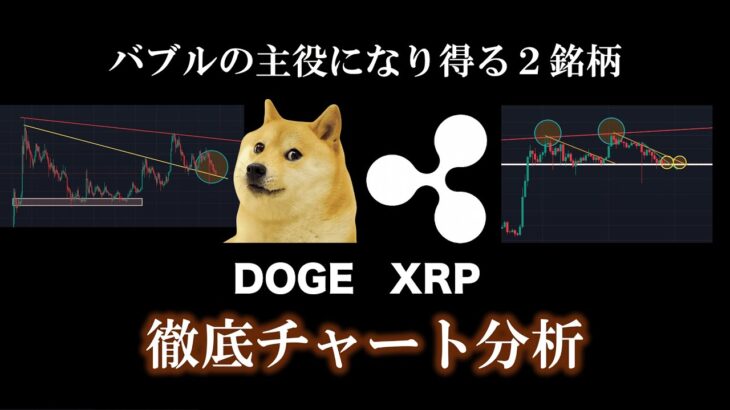 【依然】私の論理的シナリオ全く崩れておりません。#リップル #XRP　#ドージコイン #DOGE #仮想通貨 #暗号資産 #ビットコイン #BTC