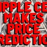 XRP: Ripple CEO Makes PUBLIC PRICE PREDICTION – Here’s What He Said – Report