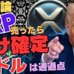 【警告】今、XRP売ったら負け確定！10ドルは“通過点”だった…まだ知らない新理論