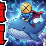 【XRPクジラ13億購入】リップルETF流入が史上最高ペース／利下げ確率UP！金融緩和はまだ？（Bitcoin ETH SOL ビットコイン イーサリアム ソラナ 最新情報 取引所 おすすめ 税金）