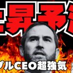 【緊急速報・仮想通貨下落】リップル内部崩壊！XRPは2026年上昇か／JPモルガン強気予想（Bitcoin ビットコイン ETH SOL イーサリアム ソラナ 最新情報 取引所 おすすめ 税金）