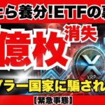 【恐怖と歓喜】XRP5億枚が突如消滅…ETF承認の裏で動く「国家の罠」とは？リップル銀行誕生で資産100倍も現実味！『XRPリップル最新ニュース・仮想通貨最新情報💛』