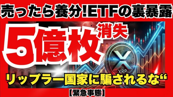【恐怖と歓喜】XRP5億枚が突如消滅…ETF承認の裏で動く「国家の罠」とは？リップル銀行誕生で資産100倍も現実味！『XRPリップル最新ニュース・仮想通貨最新情報💛』