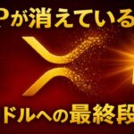 【XRPリップル】65億XRPが一晩で消えた理由…機関が裏で動く“異常値”の正体とは？ついに100ドルが現実へ！