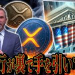 【XRP速報】リップルCEO衝撃発言!!価格が上がらない理由が今明らかに!!#仮想通貨#リップル#暗号資産#XRP