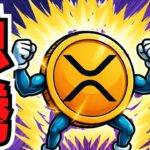 【重要】仮想通貨上昇の３つの理由／XRPが急反発！ETF資金＋利下げ観測で“本格相場”入りか（Bitcoin ETH SOL ビットコイン イーサリアム ソラナ 最新情報 取引所 おすすめ 税金）