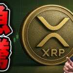 【XRPリップル速報】ついに５社のETFが集結🔥XRP250ドルへのカウントダウン開始【仮想通貨】【ビットコイン】
