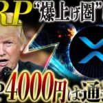 🔥XRP(リップル)爆上げ秒読み🔥現物ETFの次は“異例の資金調達”…XRP4000円が現実味に❗️
