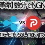 【XRP革命】リップル（Ripple）とRedotPayがアフリカ決済を変革！ 🚀 暗号資産→NGN変換を数分で実現　BTC、ETH、SOL、TON、TRX