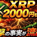 🚨XRPの究極プロジェクト🚨【イーロンもXで言及！！】【2026年の1月,2月にリップル計画と上昇が始まる🏁】#xrp #btc #doge #ripple #仮想通貨 #shib #